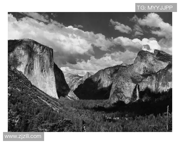 亚当斯：探索科学与人文交汇的智慧之旅与未来展望